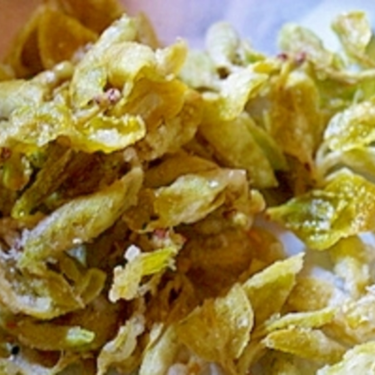 柿の新芽の天ぷら レシピ 作り方 By 和土 楽天レシピ 柿の新芽の天ぷら レシピ 作り方 By 和土 楽天レシピ